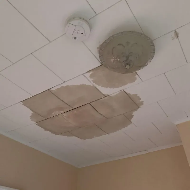 Ceiling Water Damage Repair in White Oak, OH