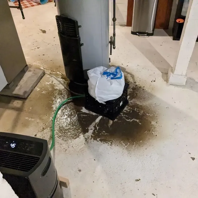 Sewage Backup Cleanup Service in White Oak, OH